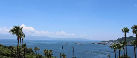 A coastal view with palm trees, a bridge, and a clear blue sky.