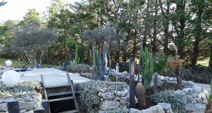 Locations des Alpilles