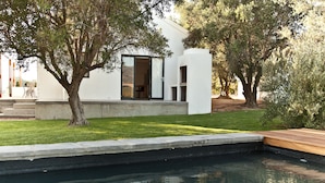 A modern house with a swimming pool, a patio, and a tree. - Denneboom Vineyards and Wildlife (Paarl)