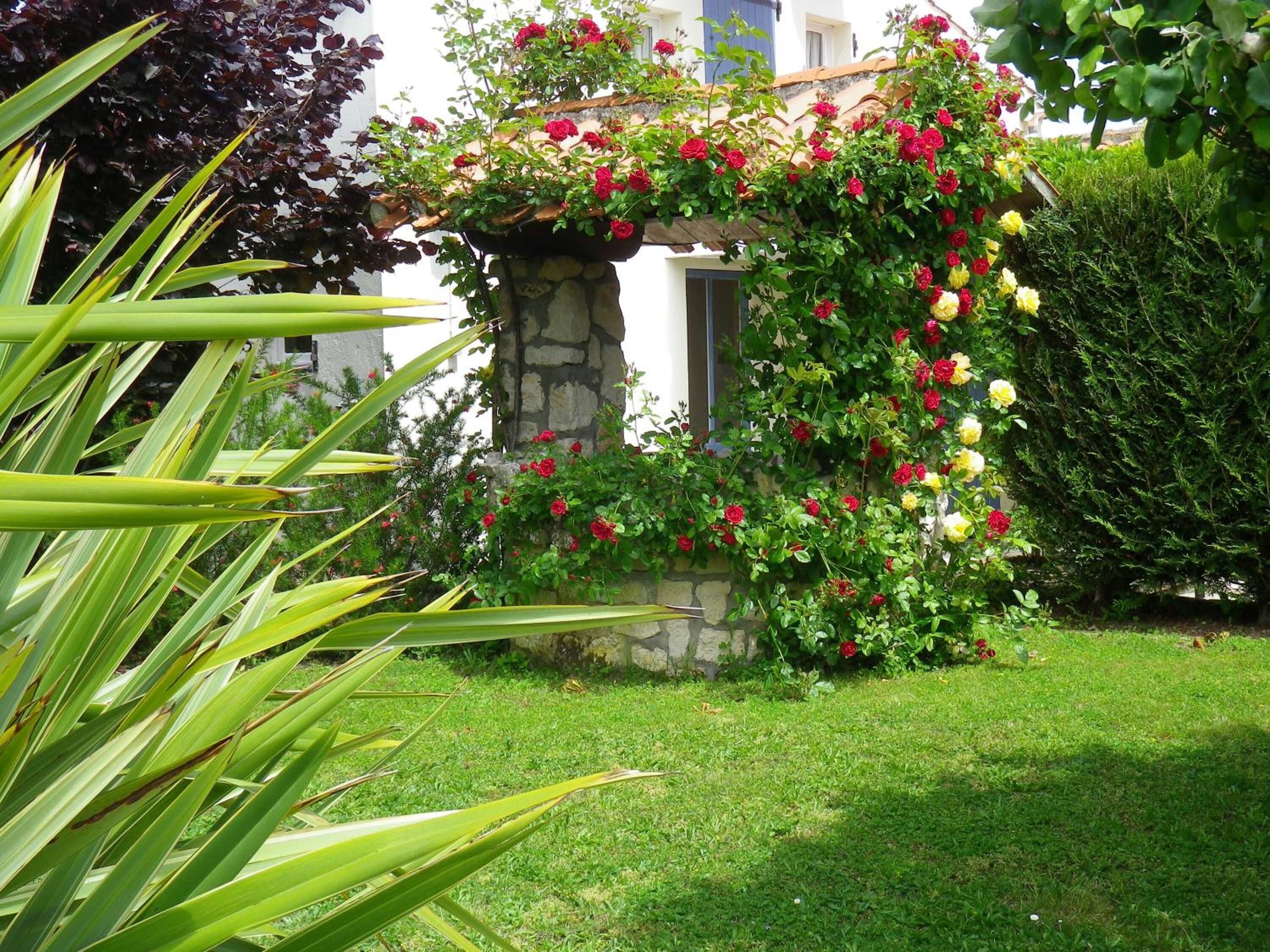 A garden with a stone wall and a variety of flowering plants.