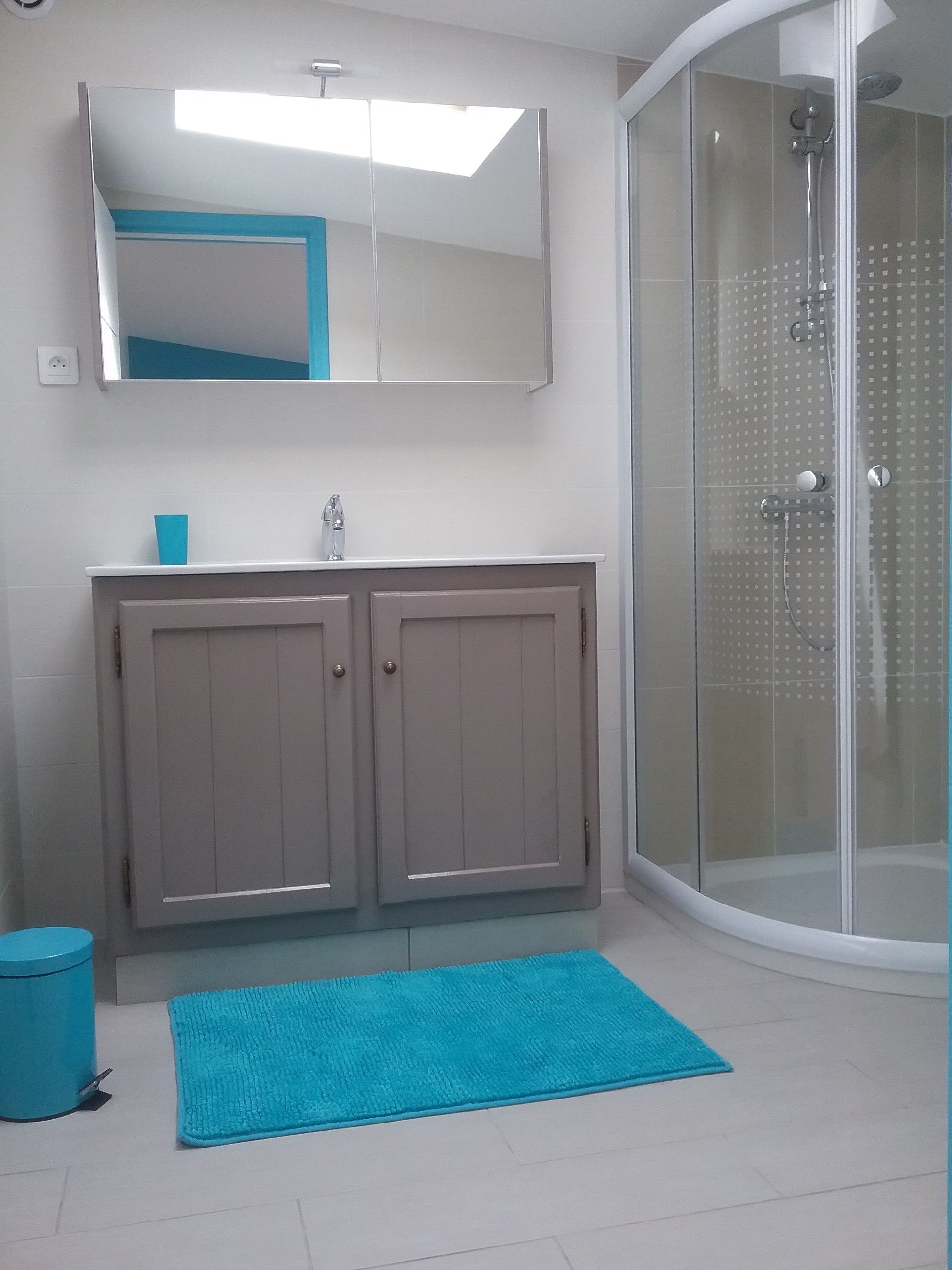 Studio, terras | Badkamer | Een douche,  milieuvriendelijk toiletgerief, een haardroger, handdoeken