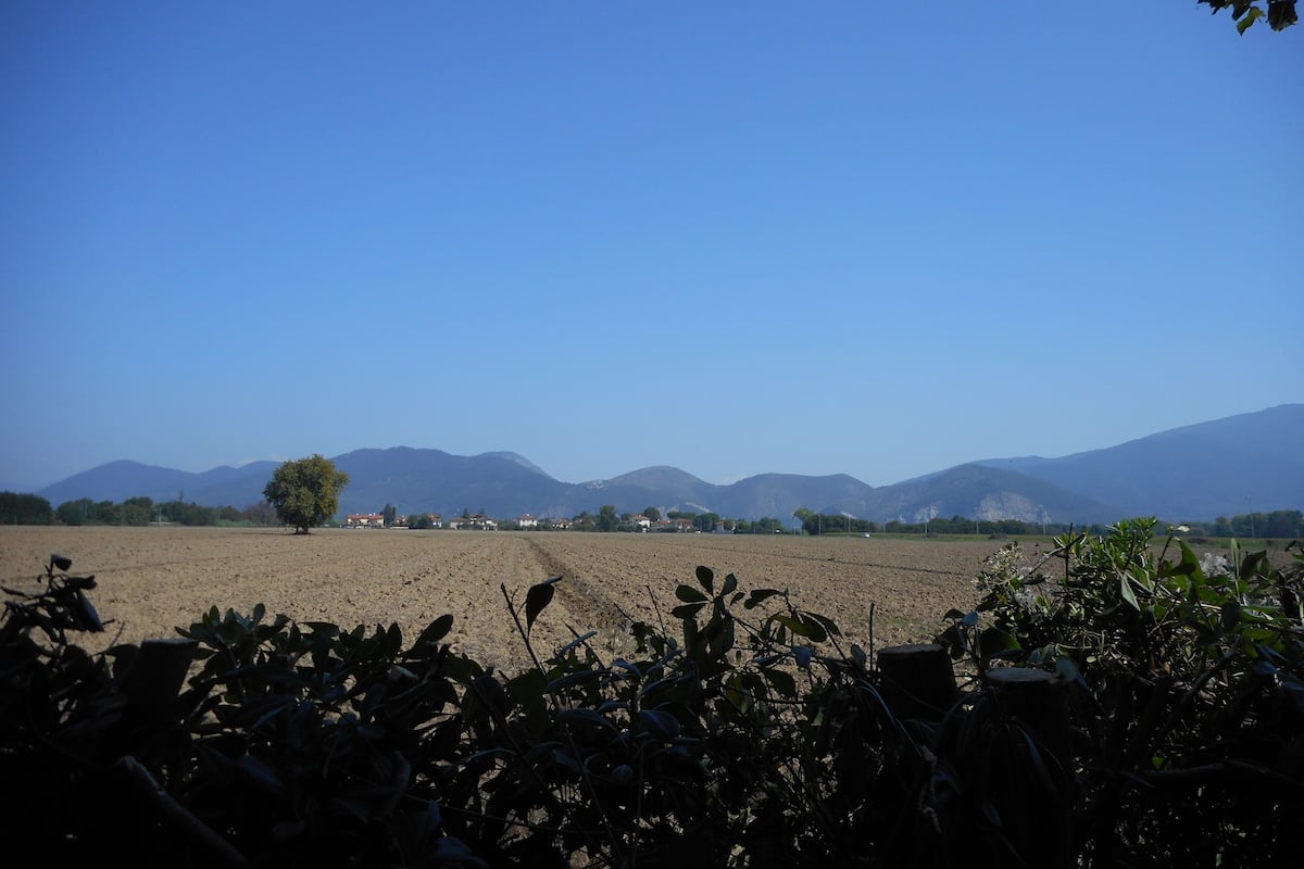 Un paisaje rural con campos, algunas casas dispersas y montañas al fondo.