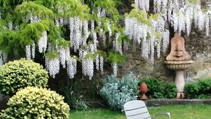 Een tuin met witte bloeiende bomen, een stenen beeld en een zithoek met een stoel en tafel.