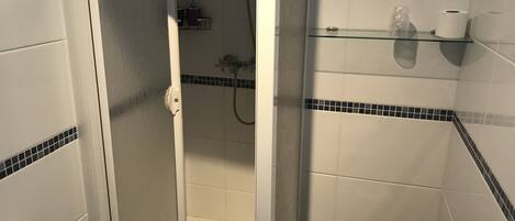 A bathroom with a glass-enclosed shower, a toilet, and a shelf with toiletries.
