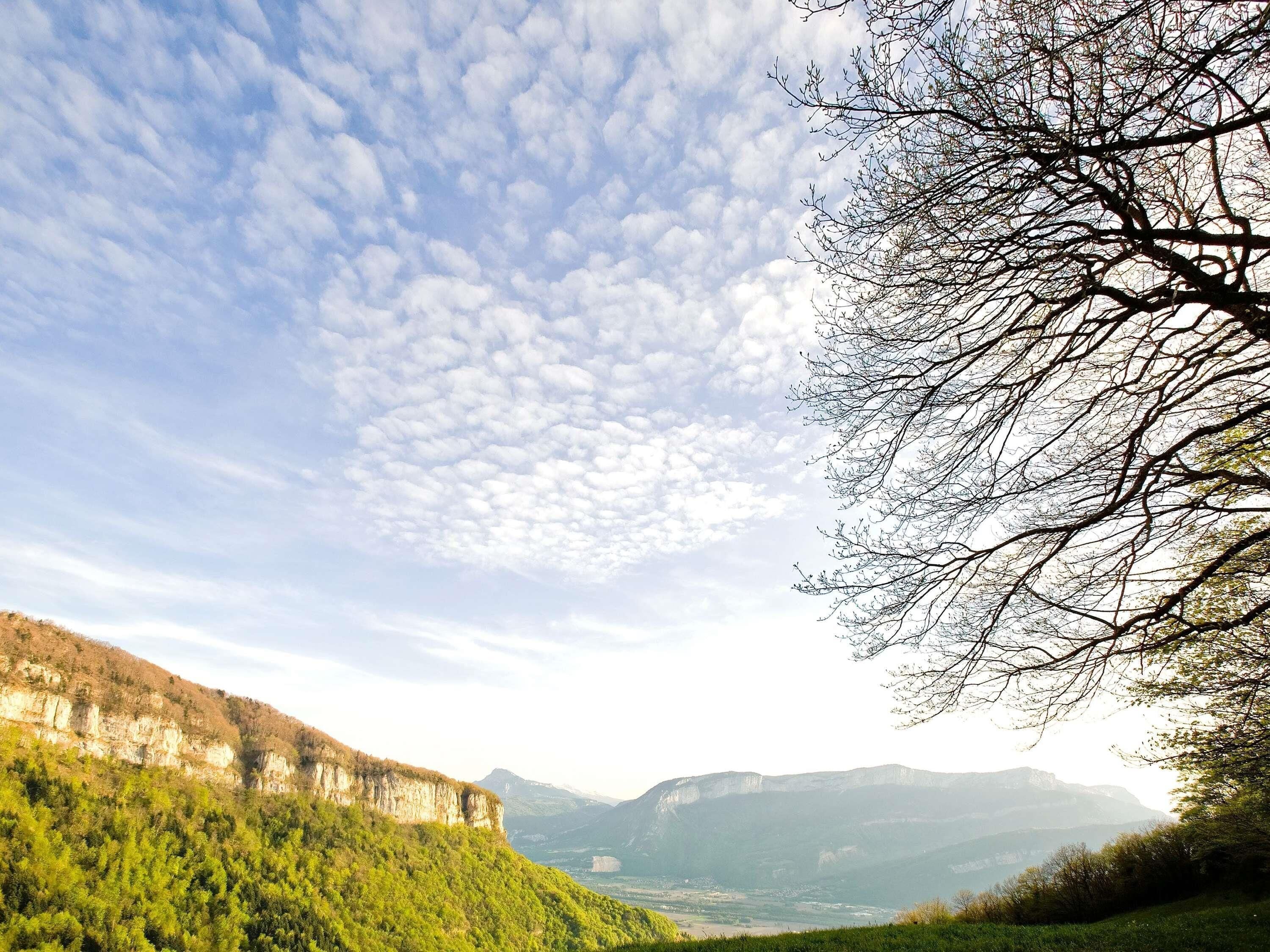 A landscape with a mountain, a tree, and a clear sky.