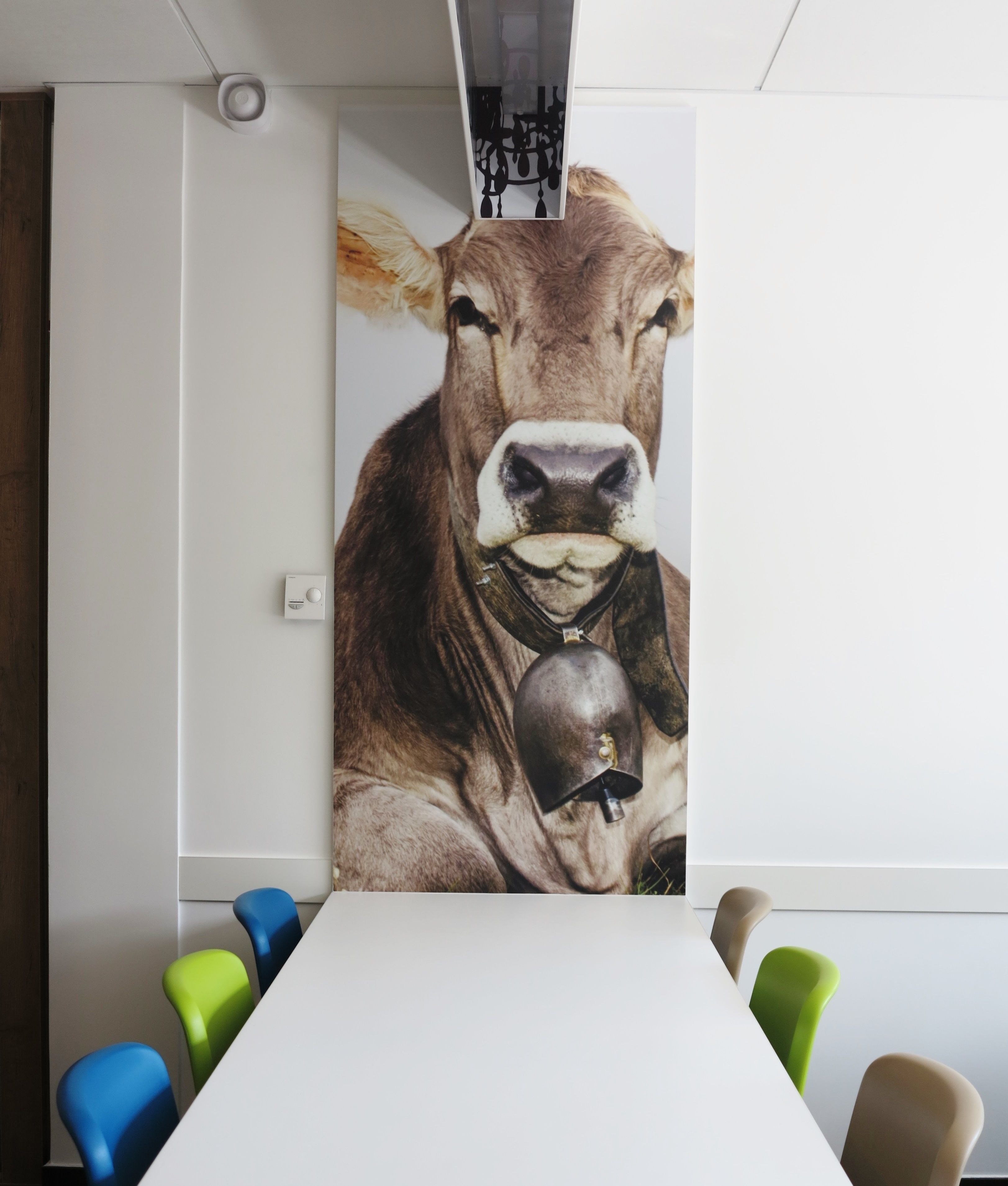 A conference room with a large wall mural of a cow, a white table, and colorful chairs.