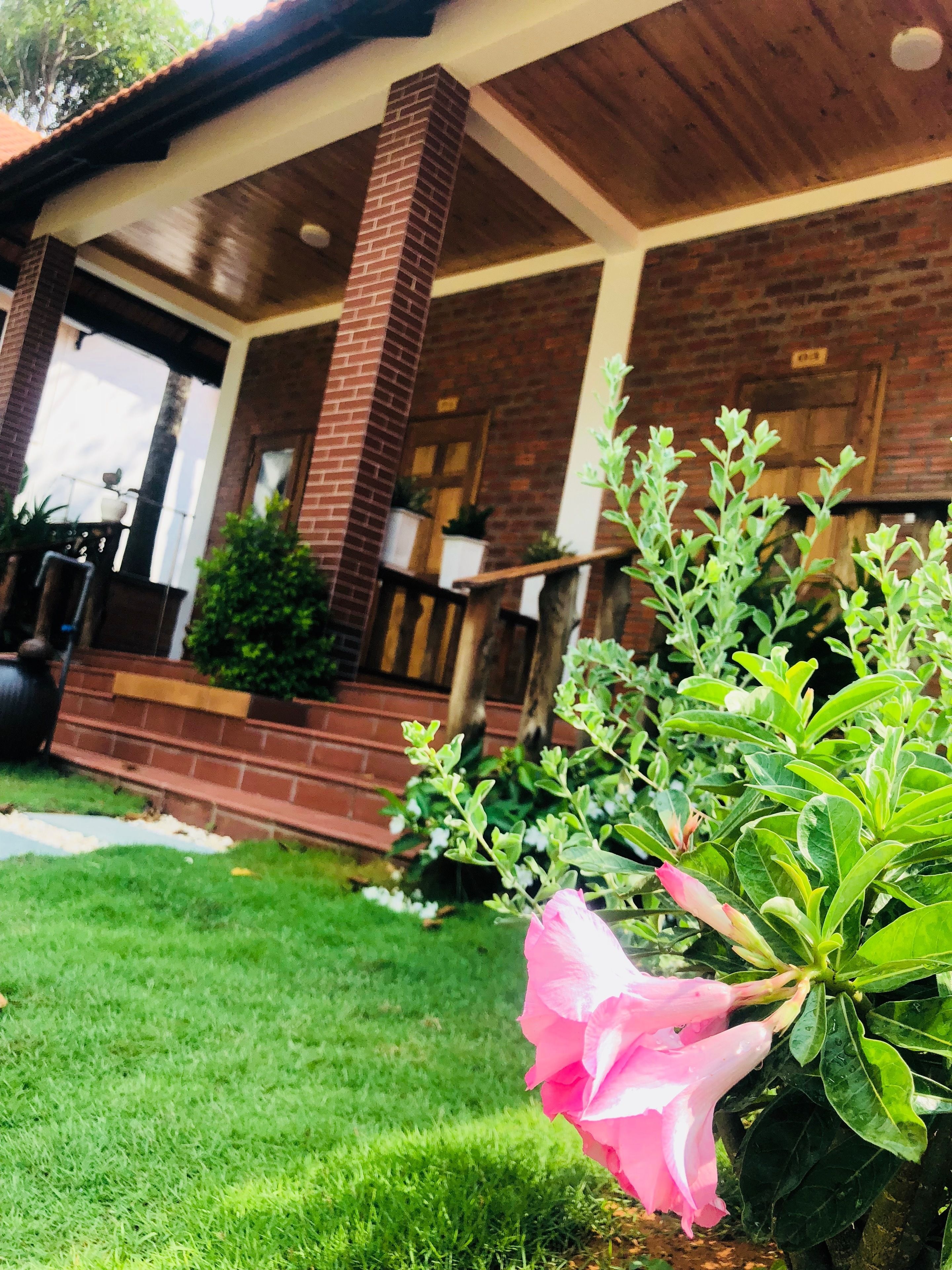 A brick house with a porch, a potted plant, and a pink flower in the foreground.