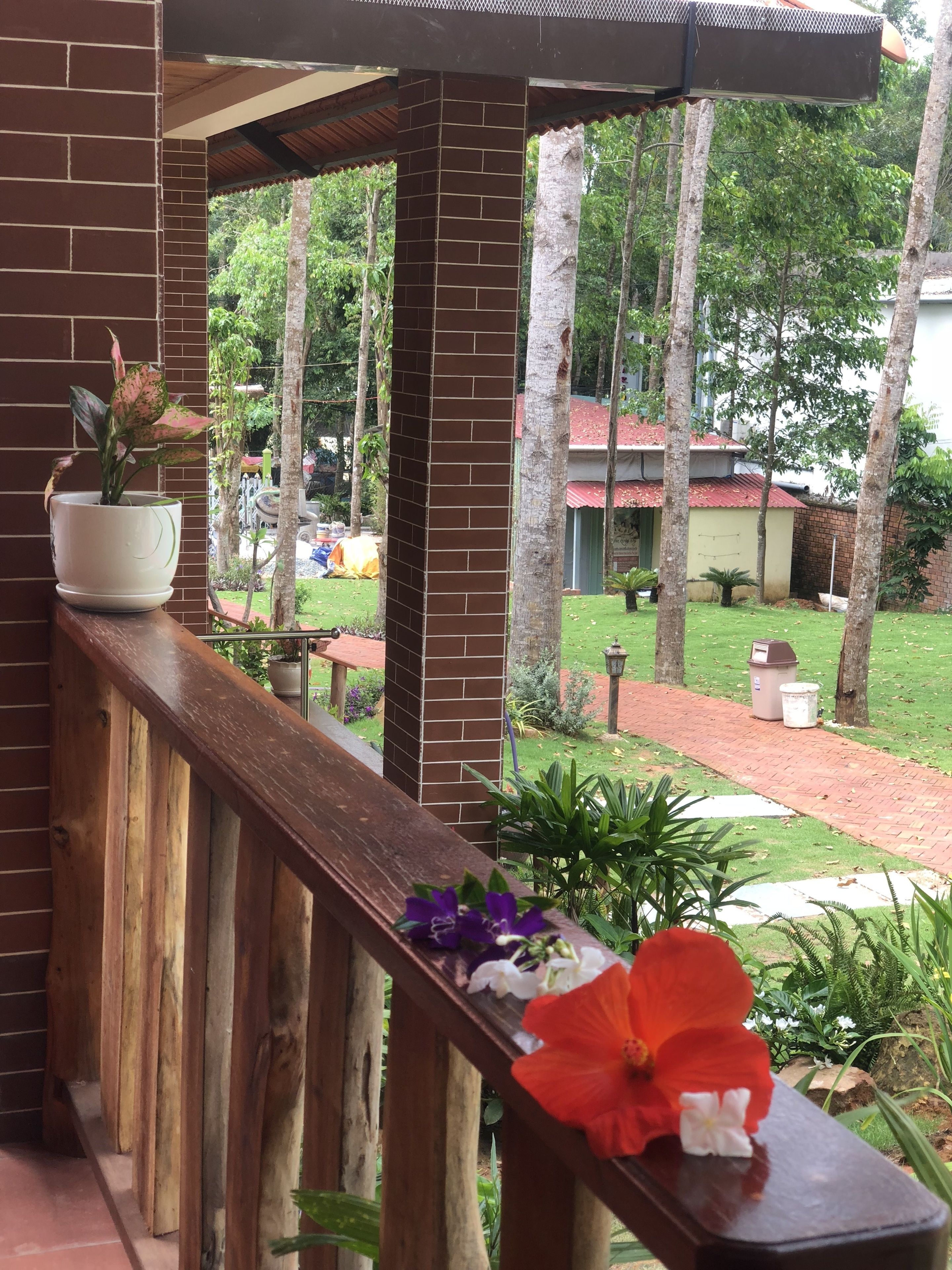 Un balcone in legno con una pianta in vaso e fiori, affacciato su un giardino con un muro in mattoni e alberi.