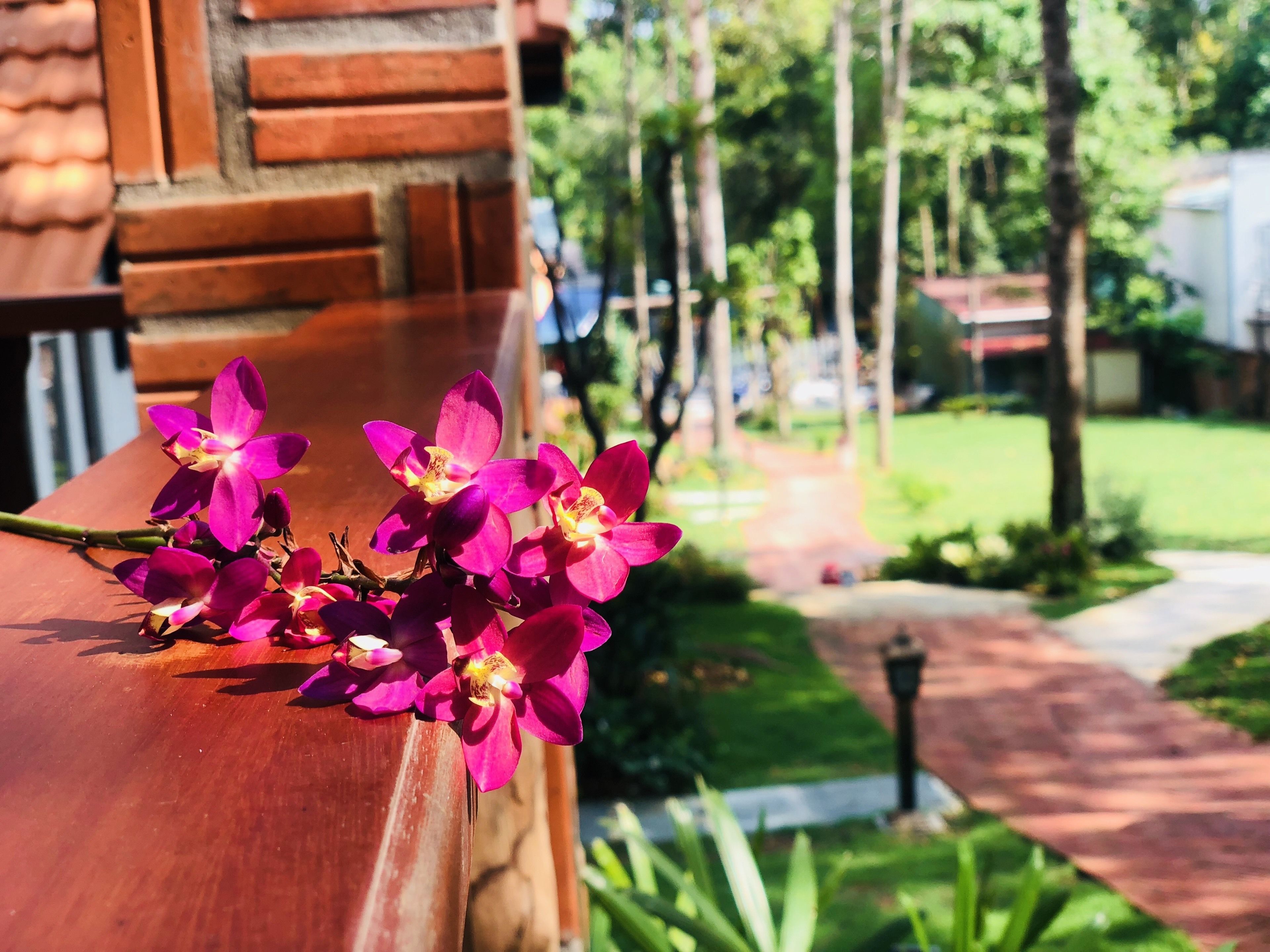 Un balcón de madera con orquídeas rosadas.