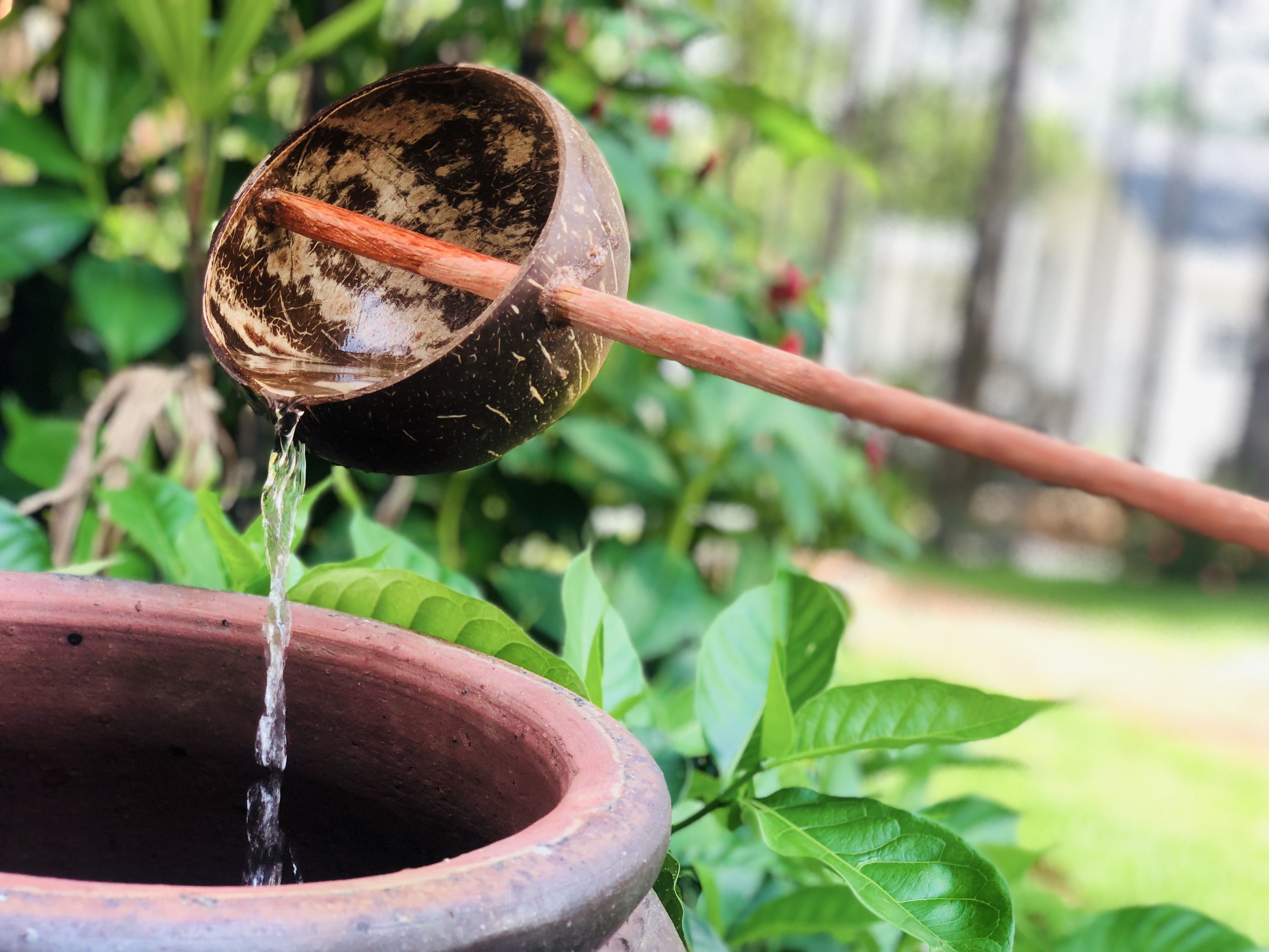 A rustic clay pot with water flowing into it, surrounded by lush green foliage.