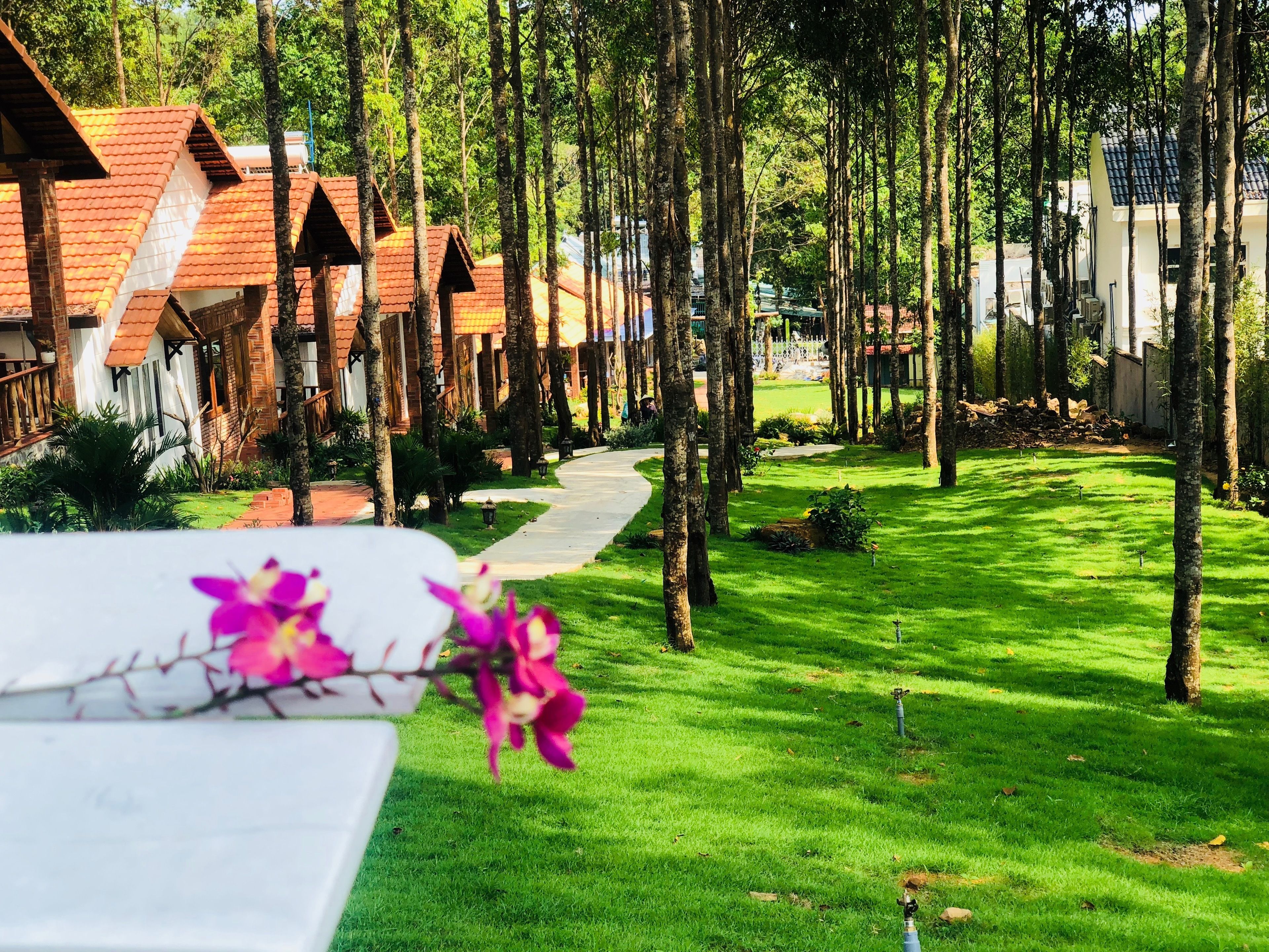 A row of traditional-style cottages with sloped roofs, surrounded by a well-maintained lawn and tall trees.