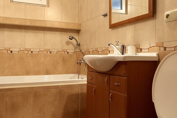 Deluxe Suite | Bathroom | Combined shower/tub, free toiletries, hair dryer, towels