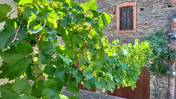 Studio, Private Bathroom | Balcony view