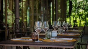 Une table à manger dressée avec des verres à vin, des assiettes et des couverts, et une vue sur la verdure par la fenêtre.