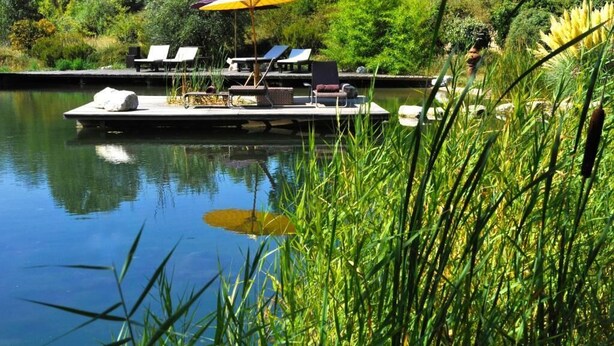 Un cadre paisible au bord du lac, avec un quai, des chaises longues et une table placée sous un parasol aux couleurs vives.