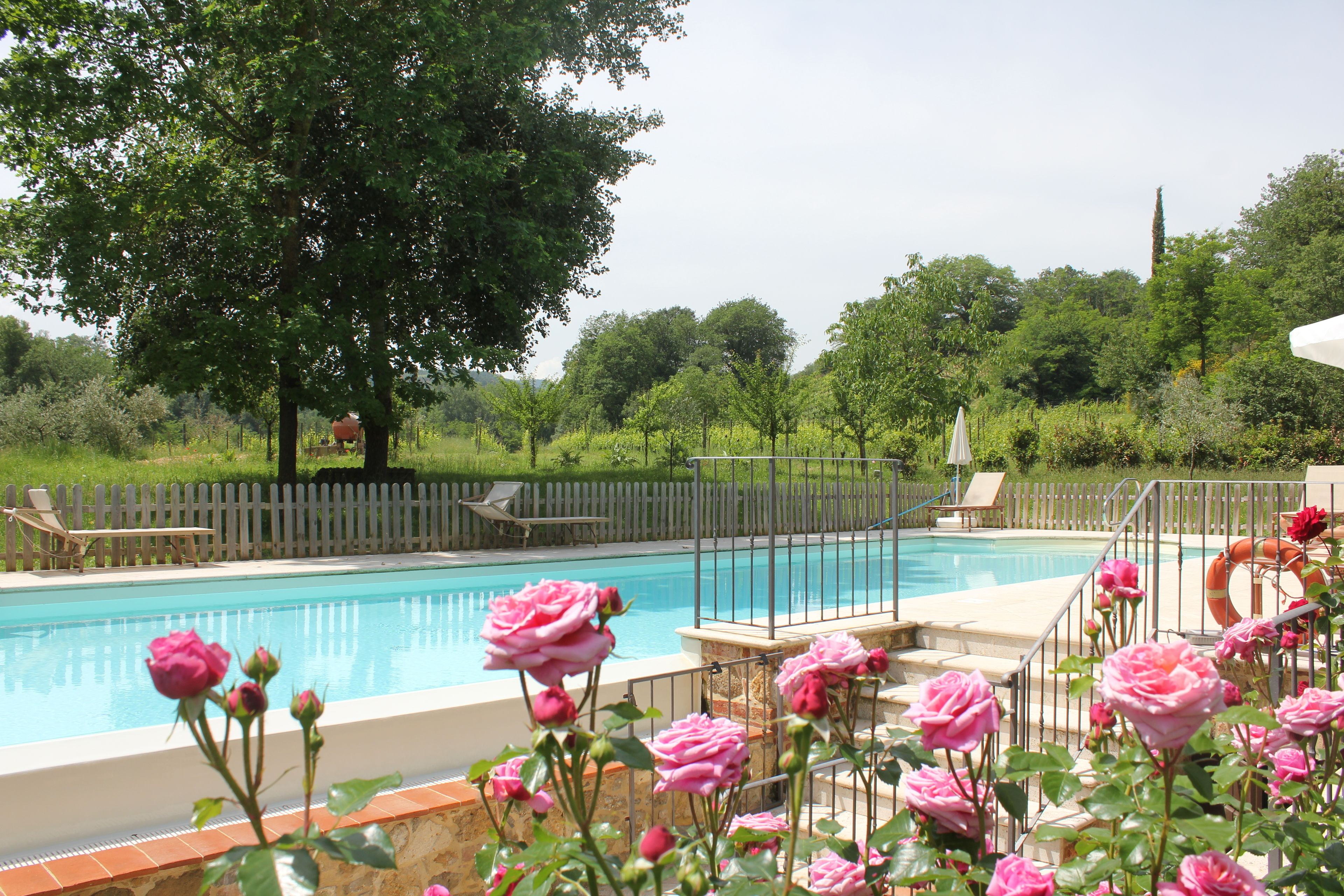 A swimming pool with a wooden deck, surrounded by a fence, and pink roses in the foreground.