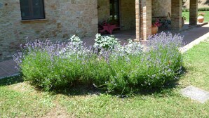 A stone building with a covered porch, a window, and a garden with lavender plants.