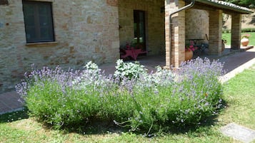 Detalle exterior