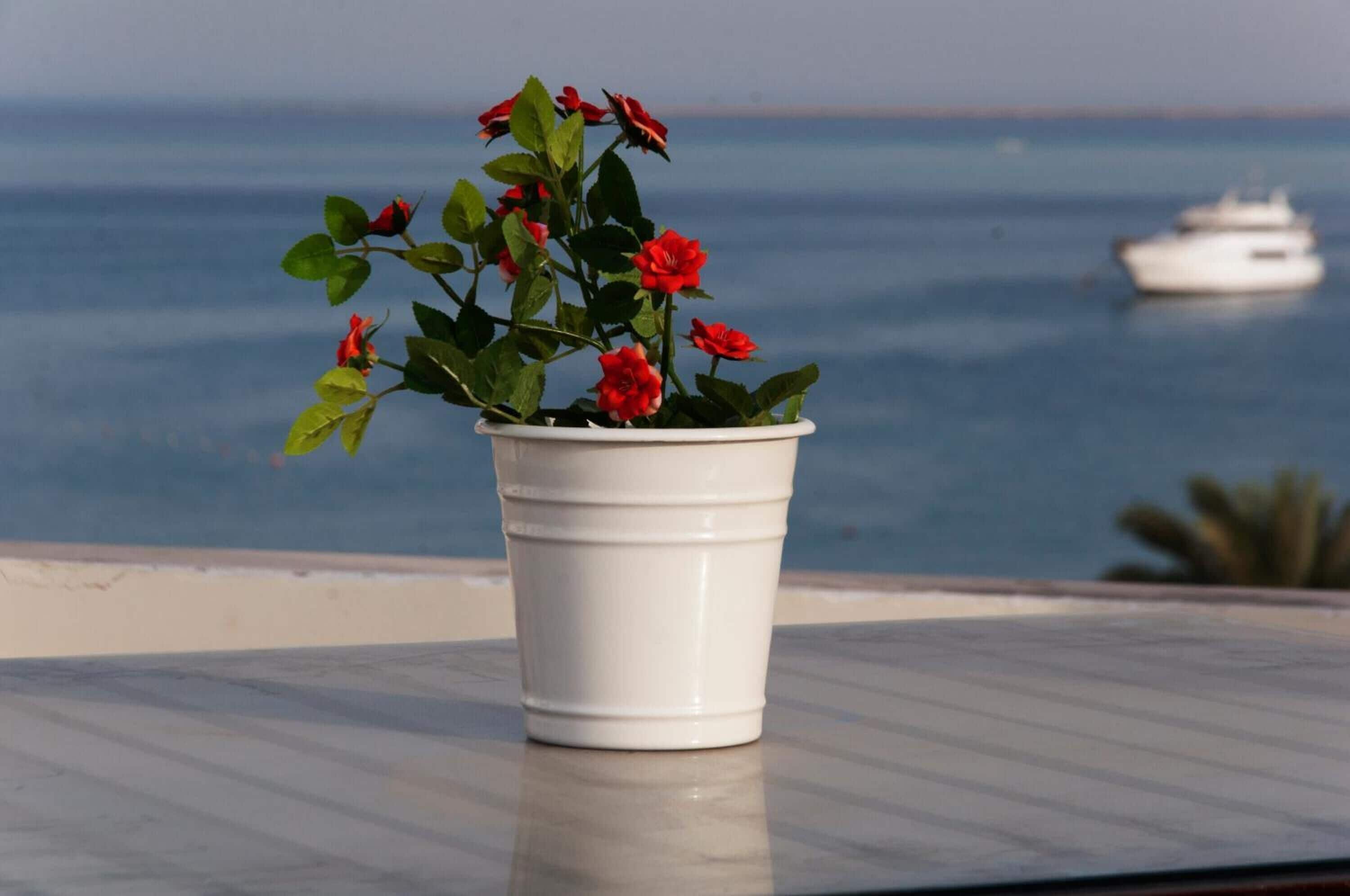 Photo - Elaria Hotel Hurgada