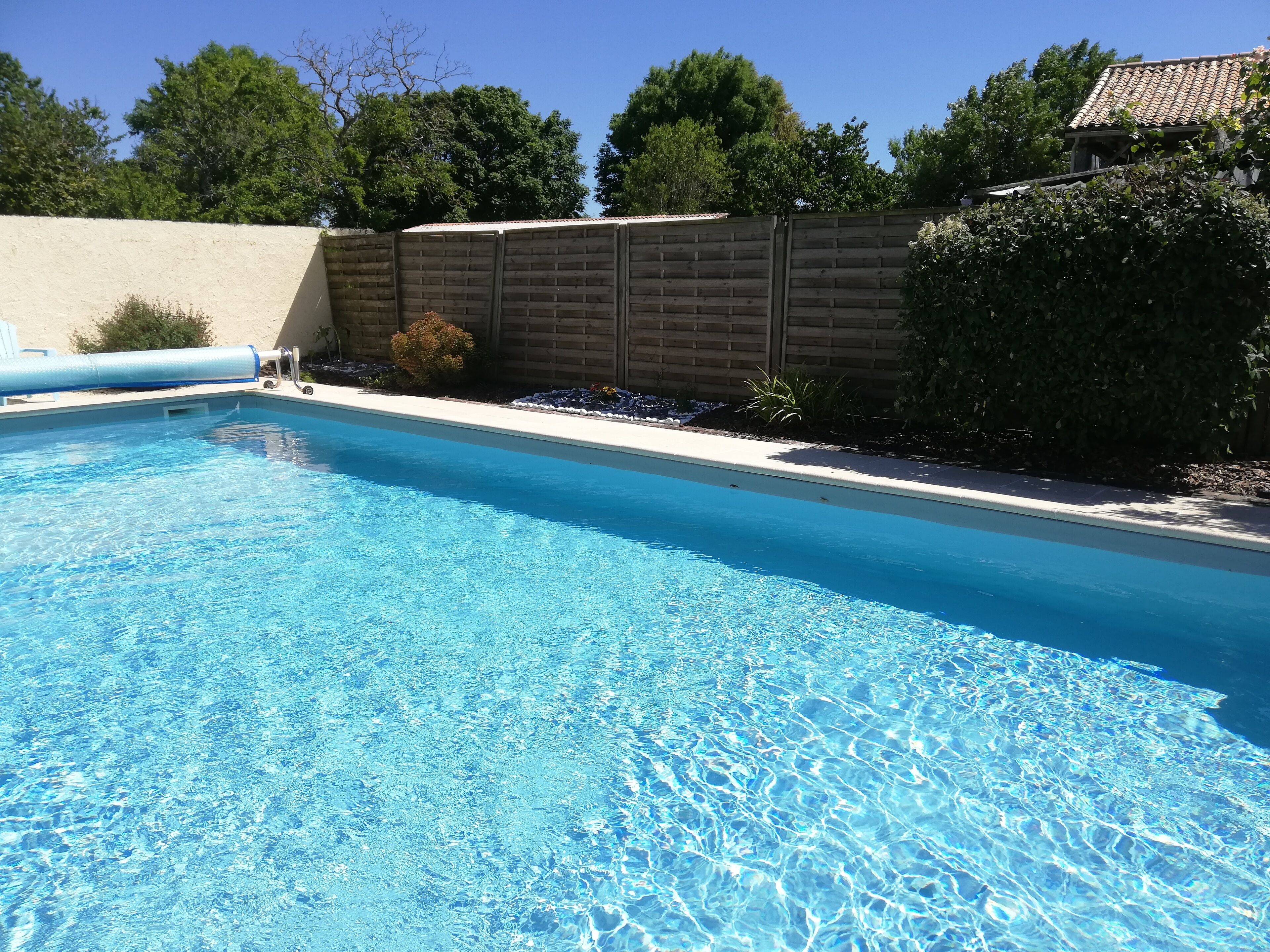 A clear blue swimming pool with a wooden fence and greenery in the background.