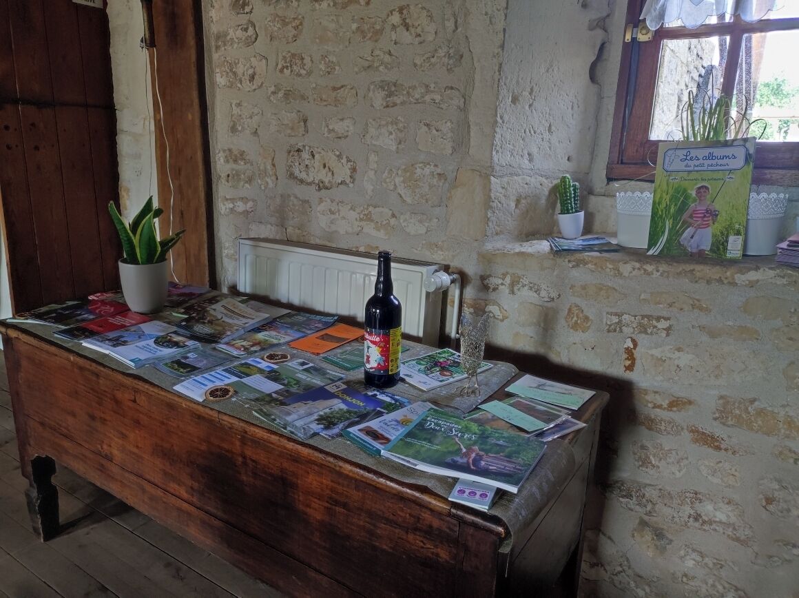 A wooden table with magazines and a bottle, a potted plant, and a window with a cactus.