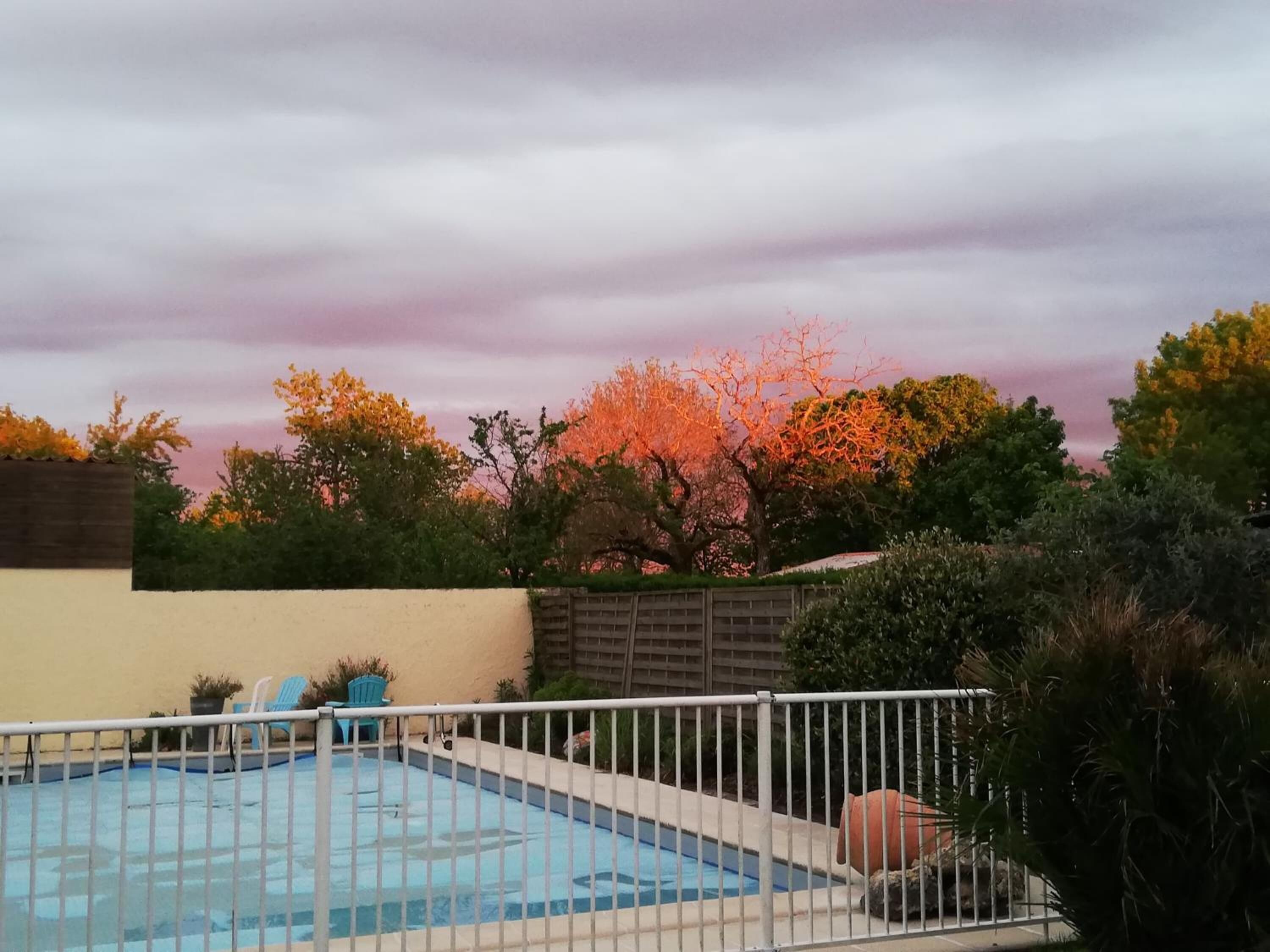 Piscina con valla blanca, rodeada de árboles y un edificio.