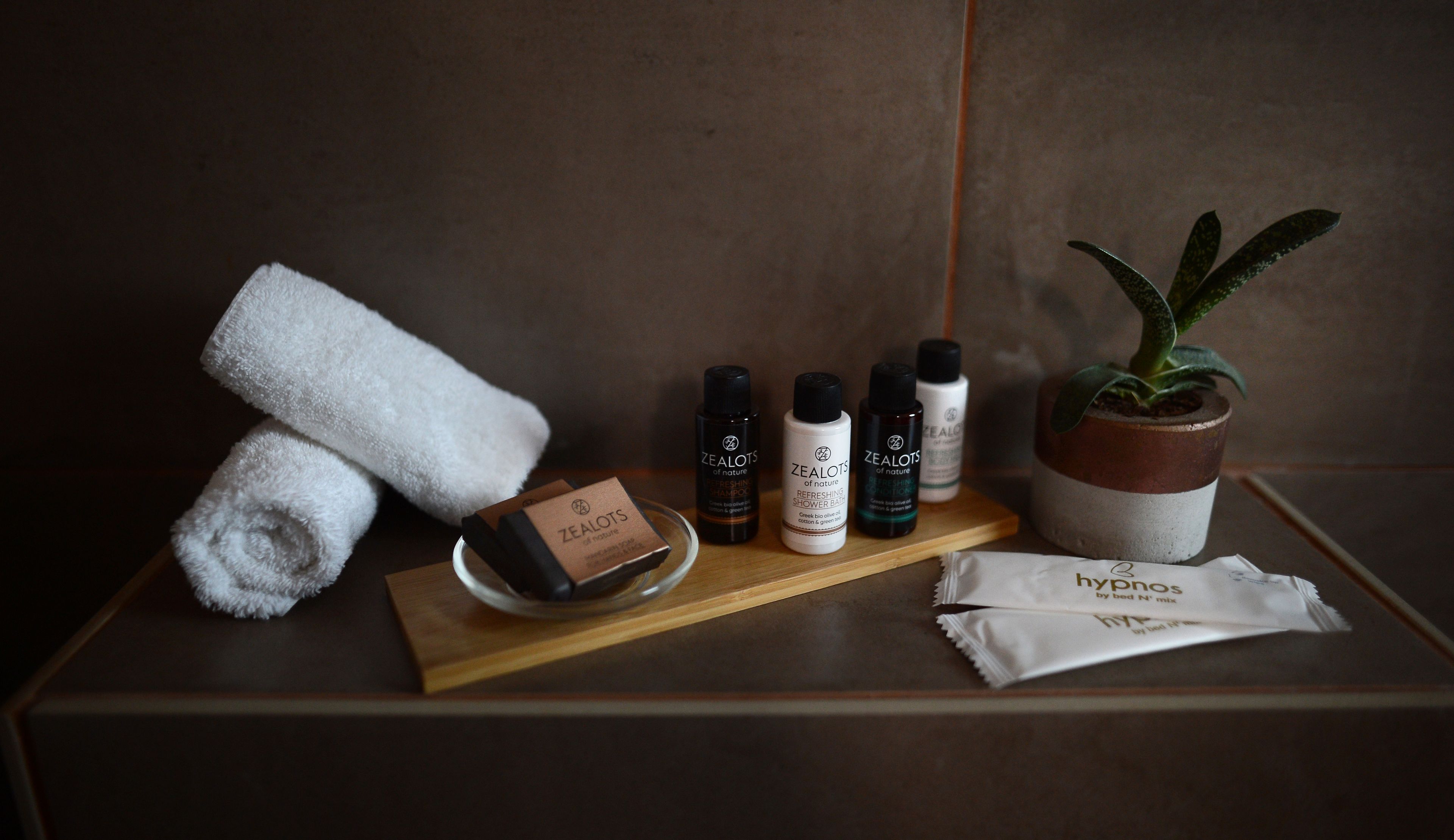 shower, free toiletries, hair dryer, slippers