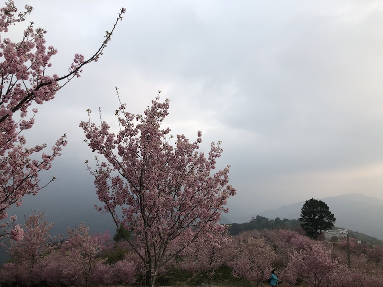 莫妮卡工坊評價、特色體驗、房價資訊、訂房連結 – 山景溫馨民宿 - 照片 9