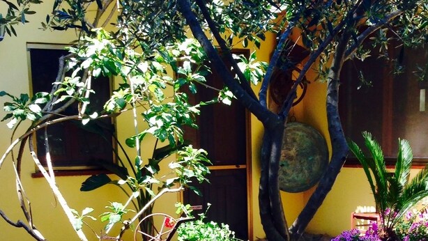Unclassified image, 1 of 30, button - Agriturismo Santa Lucia (San Giovanni Suergiu)
