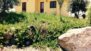 Unclassified image, 3 of 30, button - Agriturismo Santa Lucia (San Giovanni Suergiu)