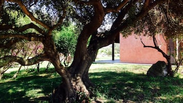 Jardin