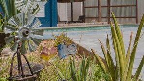 A windmill, a pool, and various plants in a garden area. - Kate's Nest Guesthouse (Windhoek)