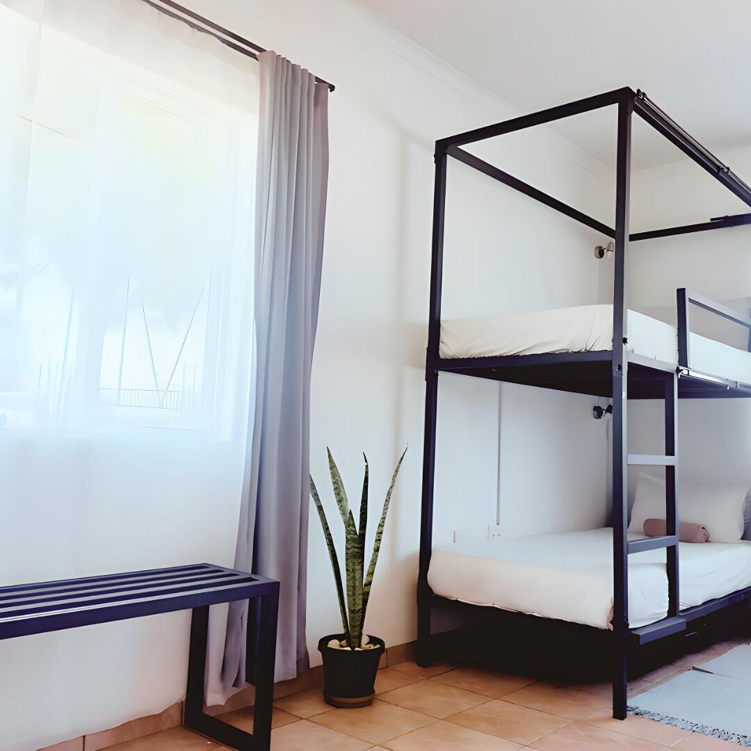 A bunk bed with a black frame and white bedding, a potted plant, a window with curtains, and a small table.