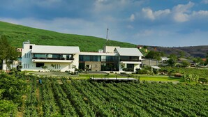 A modern two-story building with large windows and a flat roof, surrounded by a vineyard. - Regenta Resort Soma Vine Village (Nashik)