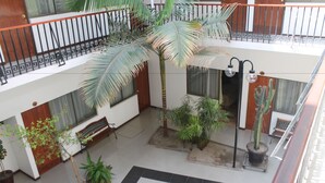 A multi-level atrium with a central palm tree, potted plants, a bench, and a tiled floor. - Hotel Samaña (Arica)
