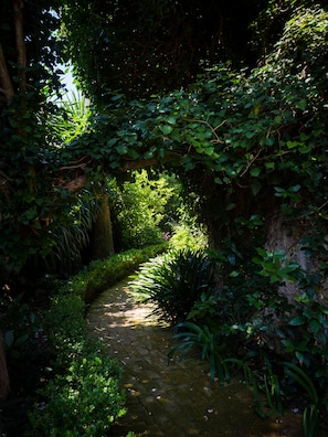 Garden - Villa Domenicale (Corfu)