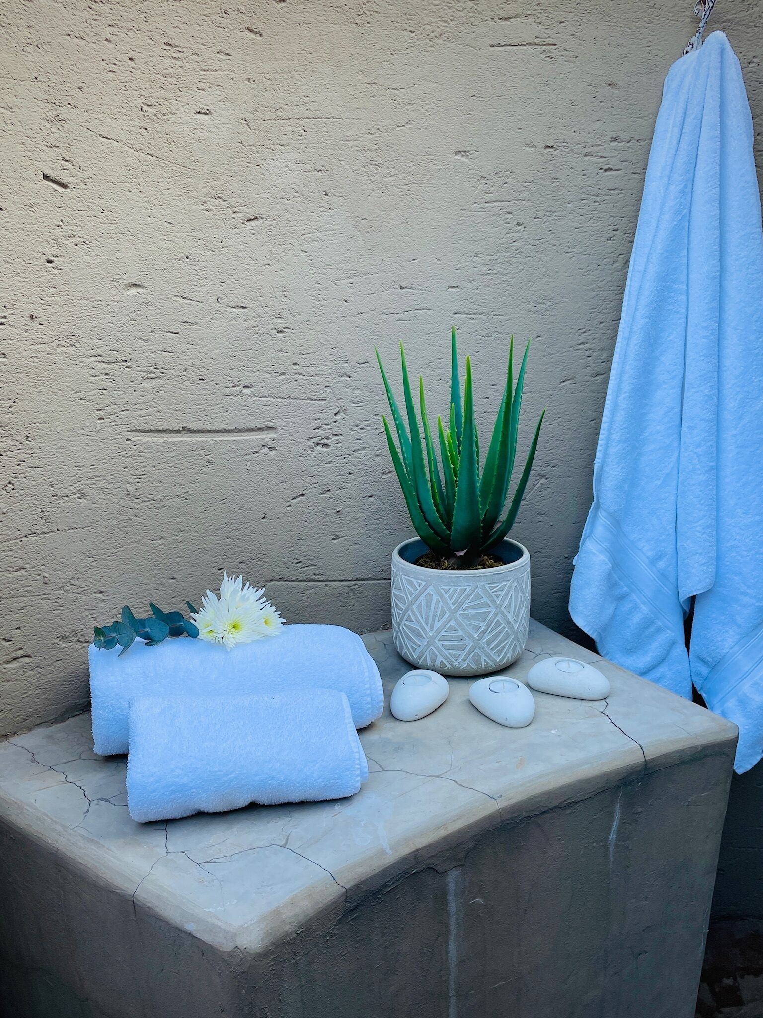 A spa area with a stone bench, a potted aloe vera plant, a white towel, a white flower, and a blue towel.