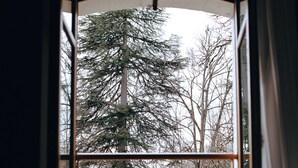 A room with a large window, a wooden floor, and a view of a forested area outside. - Logis Hôtel du Parc (Cransac)