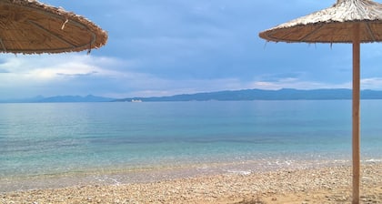 Dodis Village