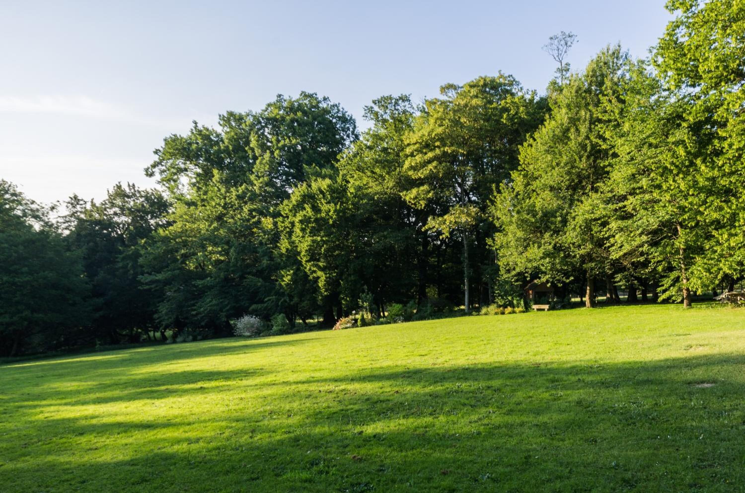 Un espace vert avec de l’herbe, des arbres et un ciel dégagé.