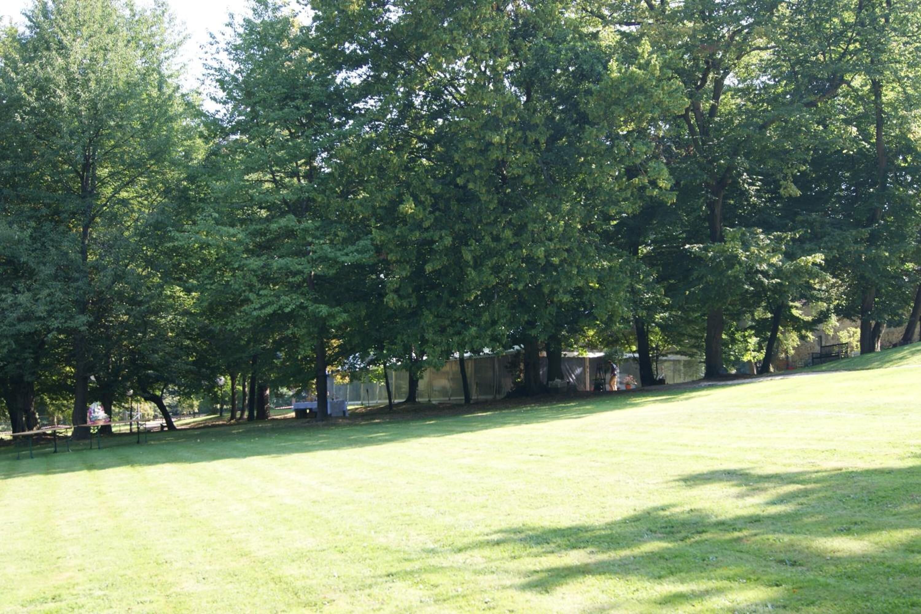 Un espace vert avec de l’herbe, des arbres et une clôture.