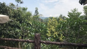 Une vue d’un jardin luxuriant, avec différentes plantes et arbres, une clôture en bois et un banc en pierre.