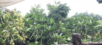 Ban Hlung Khao Adventure