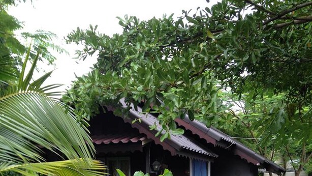 A traditional wooden house with a thatched roof, surrounded by lush greenery and a wooden deck leading to the entrance. - Kannawat Resort (Ban Na)