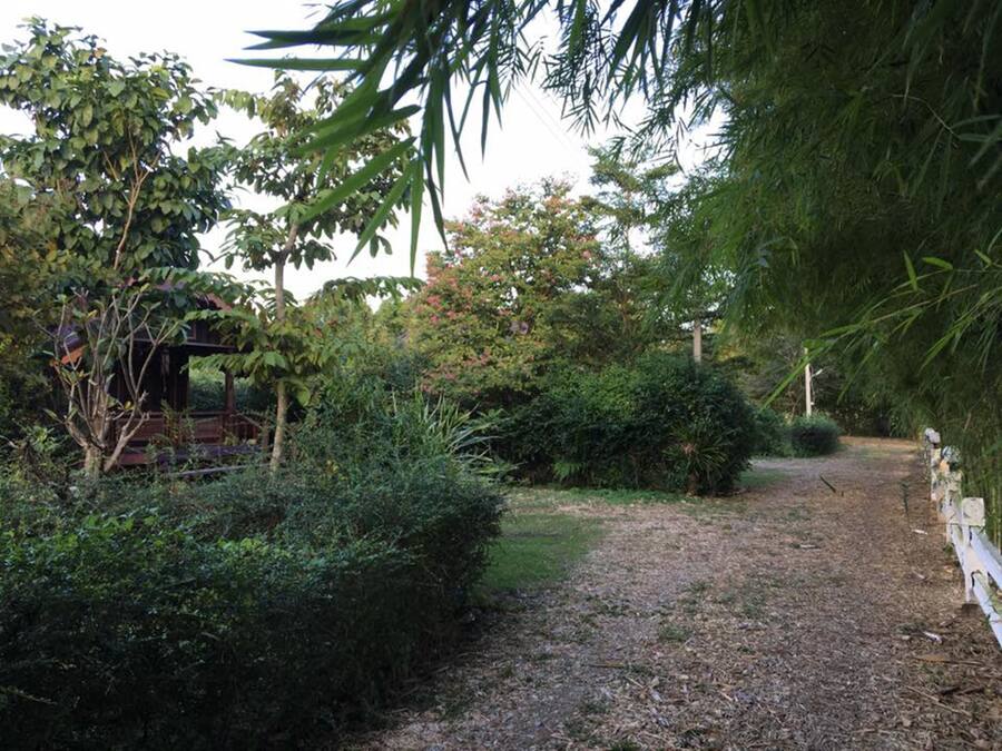 Ein Kiesweg führt durch einen Garten mit dichtem Grünwerk und einer Holzkonstruktion.