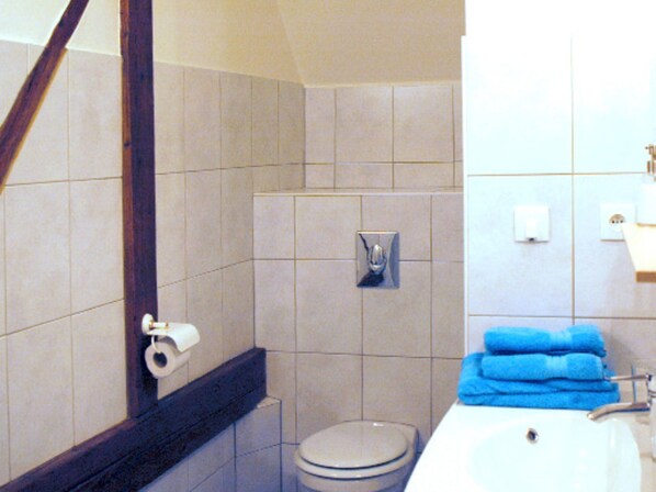 Double Room (Sainte Odile) | Bathroom | Shower, free toiletries, hair dryer, towels