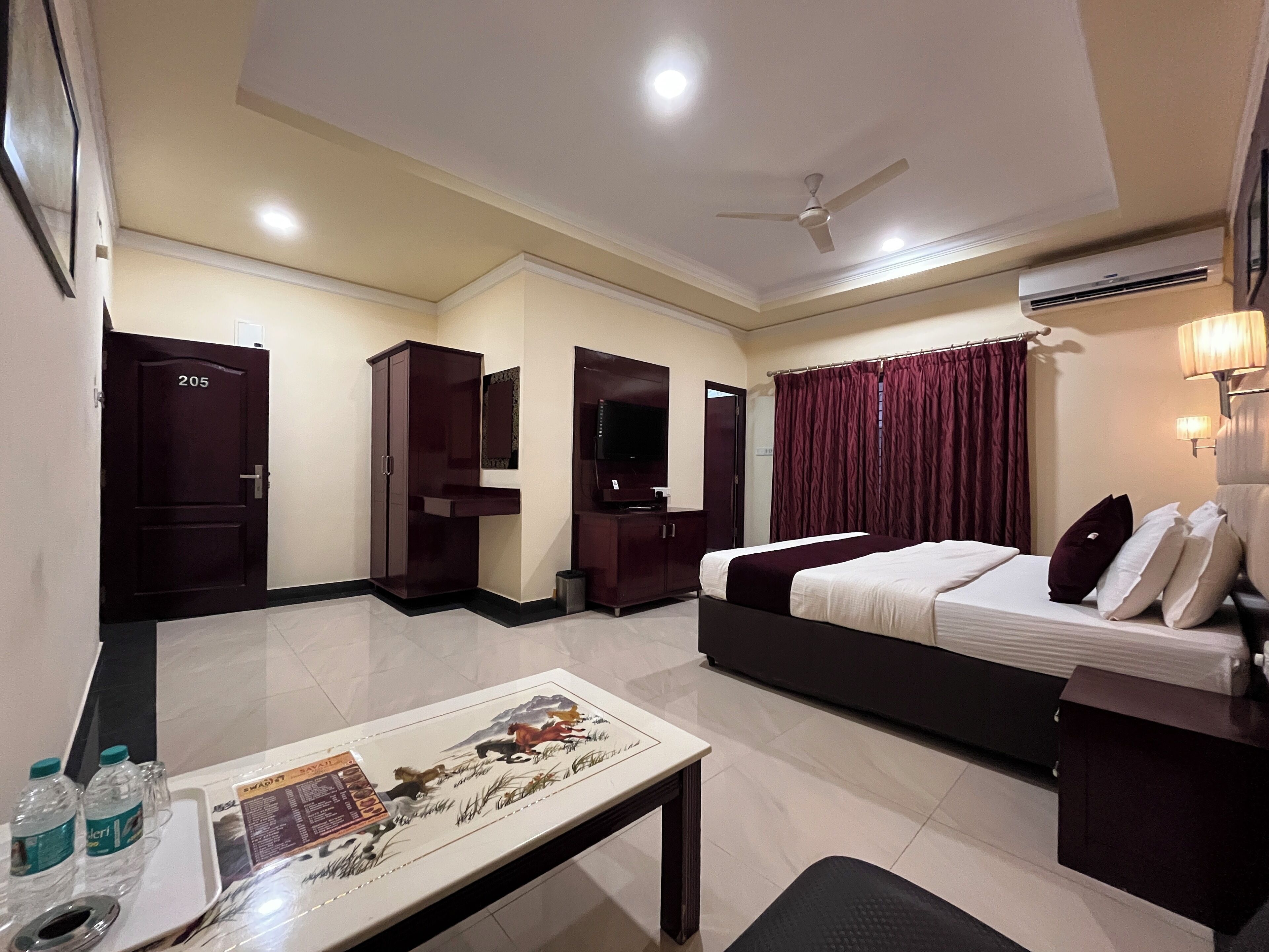 Habitación de hotel con cama, escritorio, televisión, armario y una puerta con la etiqueta 205.