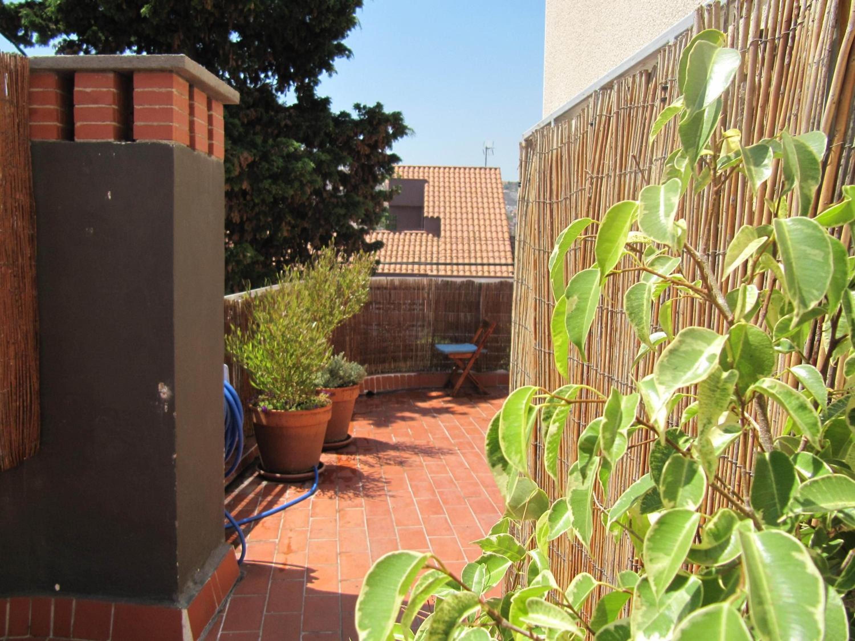 Un patio con plantas en macetas, una manguera azul y una pared de ladrillo.