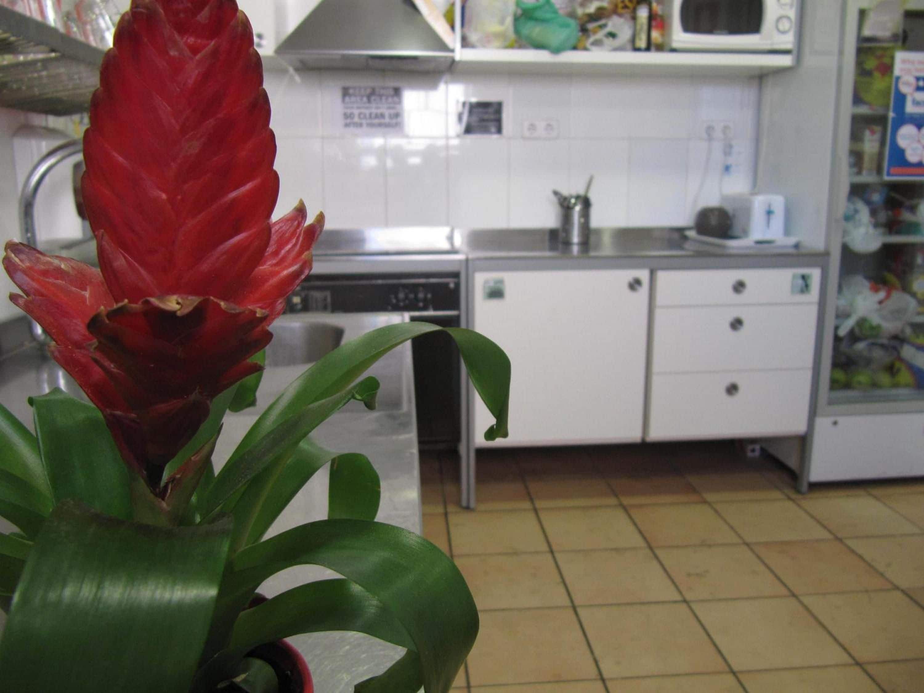 Una cocina con armarios blancos, un microondas y un lavamanos.