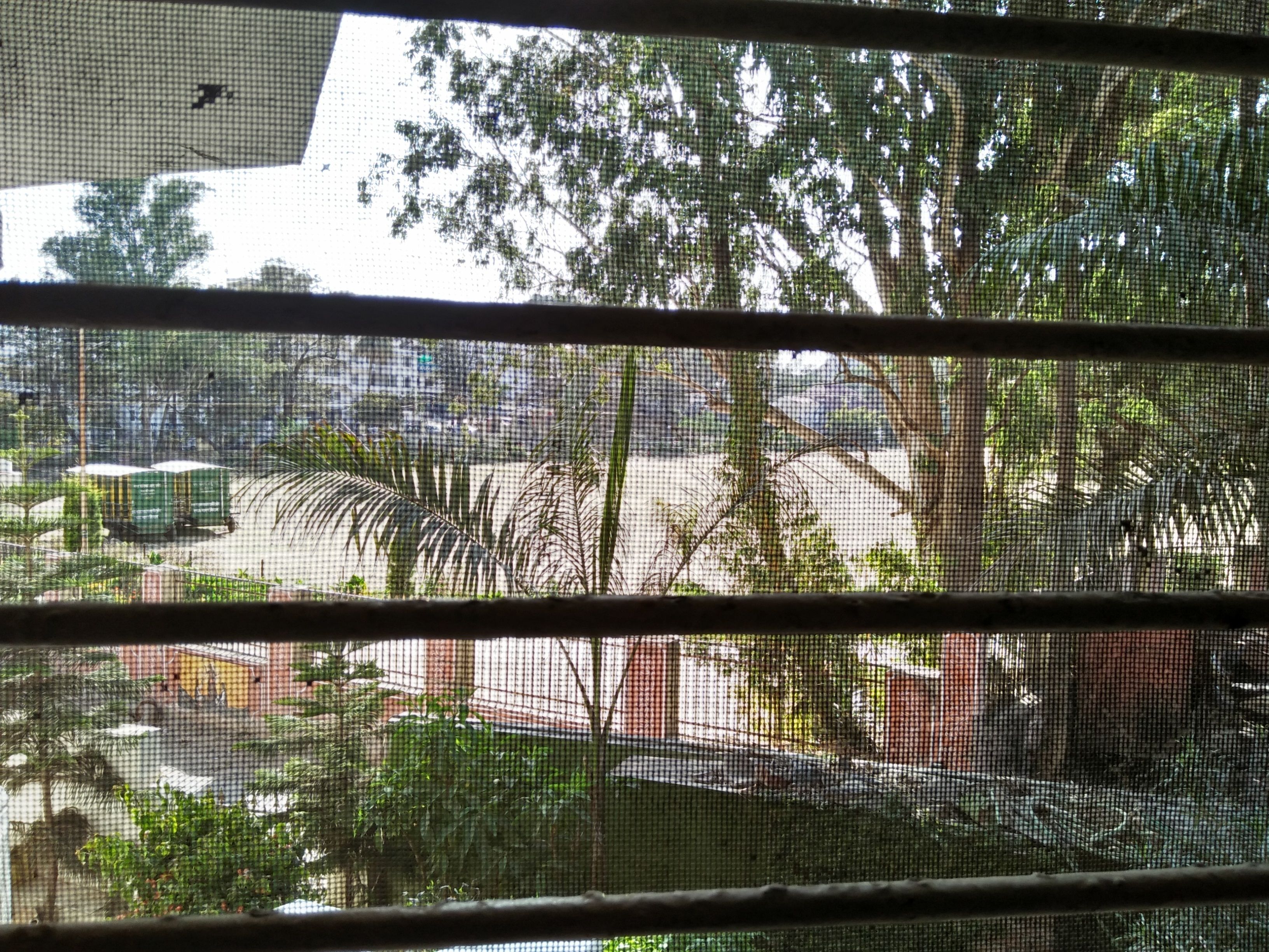 Vista a través de una ventana con mosquitero, mostrando una escena urbana con árboles, vehículos estacionados y un edificio de techo curvo.